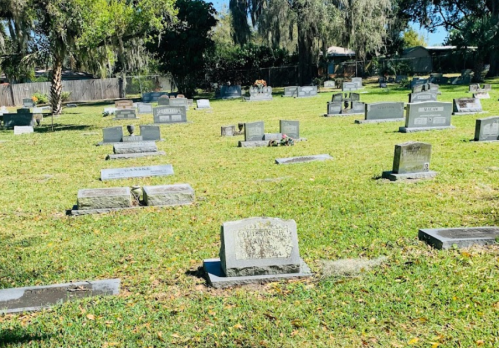 A peaceful cemetery with numerous gravestones set in a grassy area, surrounded by trees and a clear blue sky.