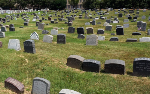 A cemetery with numerous gravestones set in a grassy area, some adorned with small flags.