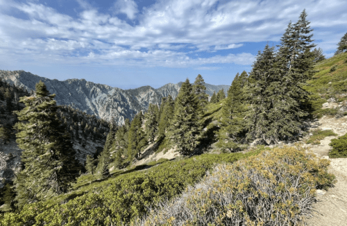 A scenic mountain landscape with lush green trees and rocky terrain under a blue sky with scattered clouds.