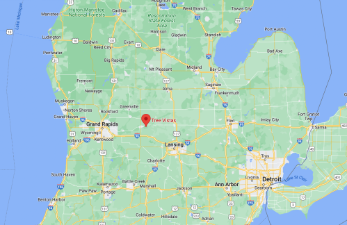 Map showing the location of Tree Vistas in Michigan, near Grand Rapids and Lansing, with surrounding areas highlighted.