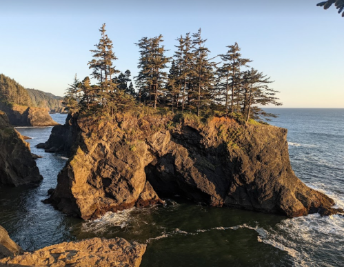 A rocky coastline with a small island of trees, overlooking the ocean at sunset.