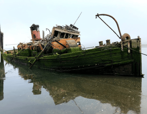 A weathered, abandoned ship covered in moss, partially submerged in calm water, with a foggy background.