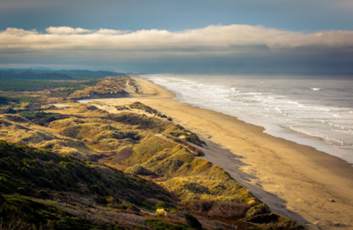 A scenic view of a sandy beach with rolling dunes, waves crashing, and a cloudy sky in the background.