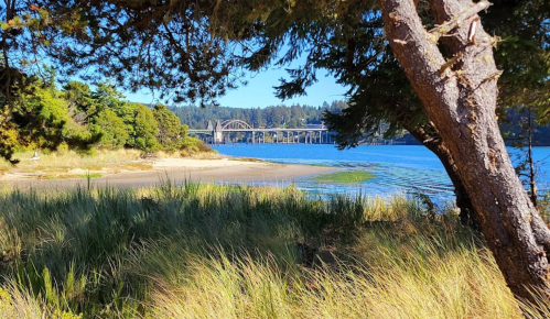 A scenic view of a river with a bridge in the background, framed by trees and tall grass on the shore.