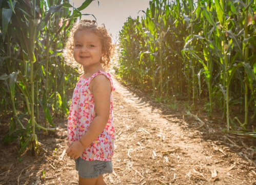 A smiling child with curly hair stands in a cornfield, surrounded by tall green plants on a sunny day.