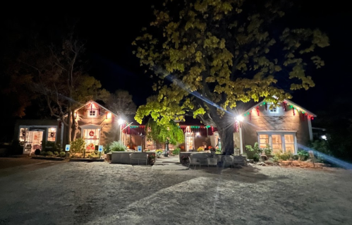 A cozy house at night, decorated with colorful Christmas lights and surrounded by trees.