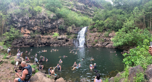 A scenic waterfall surrounded by lush greenery, with people swimming and enjoying the water in a natural pool.