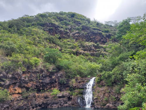 A lush green hillside with a small waterfall cascading into a serene pool below, under a cloudy sky.