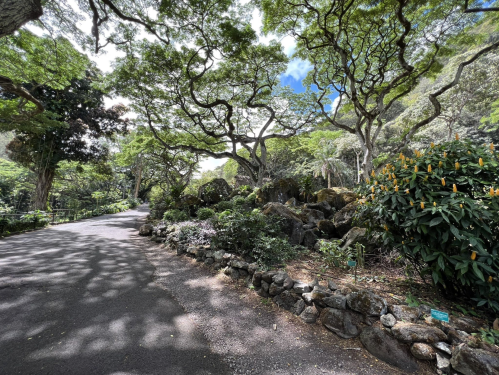 A winding path through a lush green landscape with trees, rocks, and vibrant flowers under a bright blue sky.