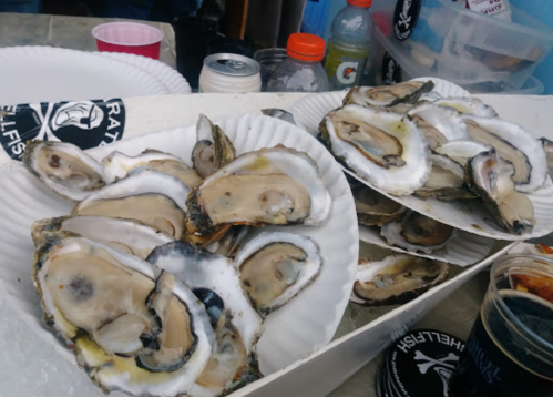 A tray of fresh oysters on half-shells, served on paper plates, with drinks in the background.
