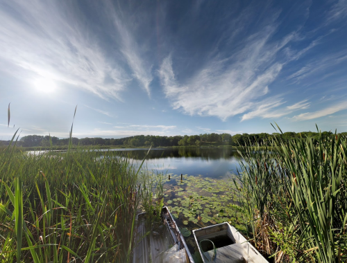 A serene lake surrounded by lush greenery and tall grasses, with a bright sky and wispy clouds above.