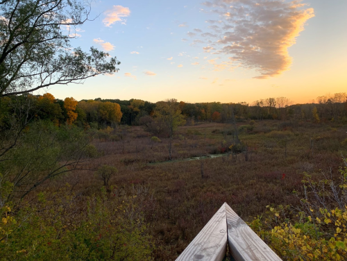 A serene sunset over a marshland, with trees in autumn colors and a wooden railing in the foreground.