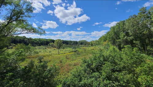 A lush green landscape with trees and a vibrant meadow under a blue sky with fluffy white clouds.