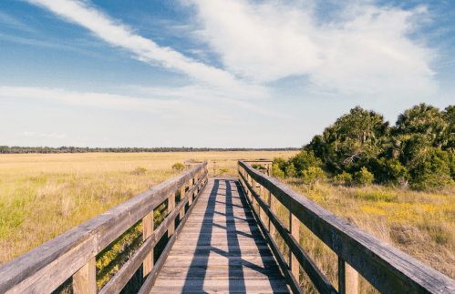 A wooden boardwalk leads through a grassy landscape under a blue sky with scattered clouds.