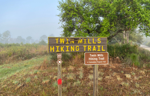 Sign for Twin Mills Hiking Trail, surrounded by foggy landscape and greenery. Trail markers visible.
