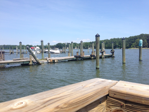 A calm waterfront scene with wooden docks and boats, surrounded by trees under a clear blue sky.