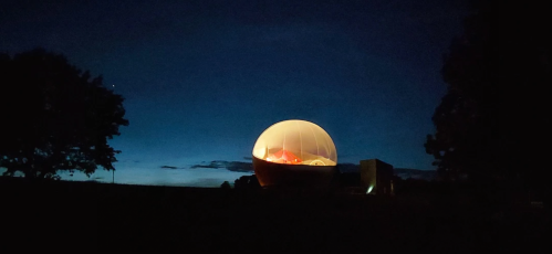 A glowing, egg-shaped structure illuminated against a darkening sky, surrounded by trees at dusk.