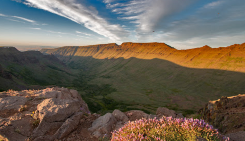 A panoramic view of a mountainous landscape with rocky terrain and colorful wildflowers in the foreground under a blue sky.