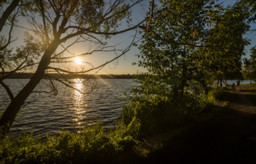 Sunset over a calm lake, with trees framing the scene and people enjoying the shoreline in the distance.