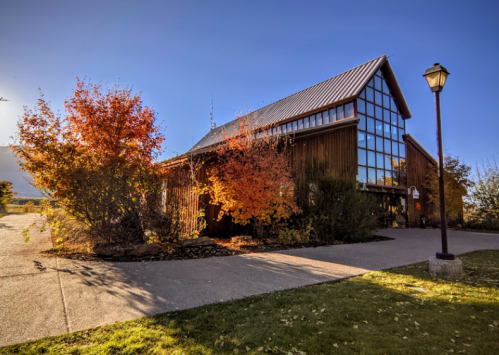 A modern wooden building with large windows, surrounded by colorful autumn trees and a clear blue sky.