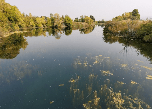 A serene river scene with calm water reflecting trees and greenery on both banks, surrounded by a peaceful landscape.