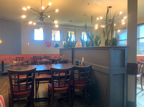Cozy restaurant interior with wooden tables, chairs, and decorative plants under warm lighting.