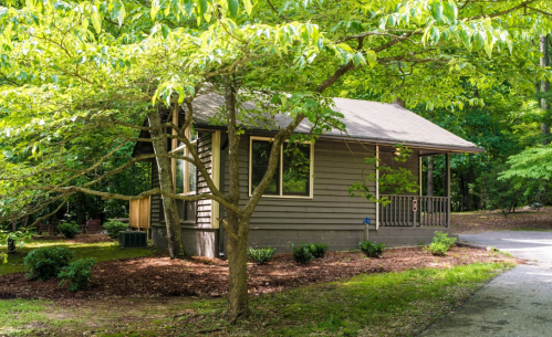 A small brown house surrounded by lush greenery and trees, with a gravel path leading up to it.