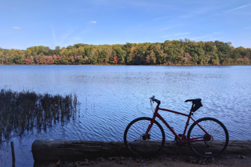 A red bicycle rests on a log by a calm lake, surrounded by trees with autumn foliage under a clear blue sky.