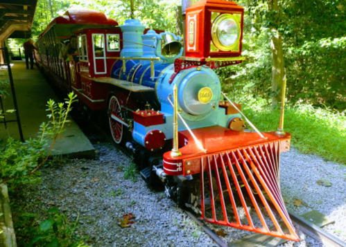 A colorful vintage train with a red and blue engine parked under a shelter surrounded by greenery.