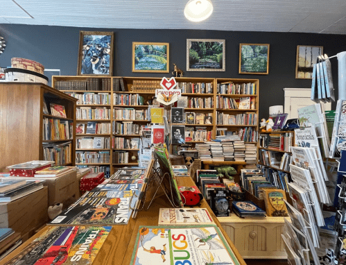 A cozy bookstore filled with shelves of books, colorful displays, and artwork on the walls.