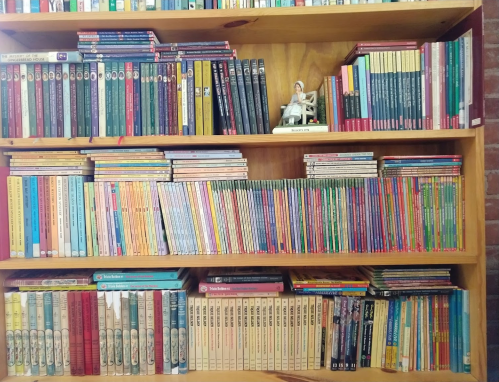 A wooden bookshelf filled with colorful books and a small figurine on the top shelf.