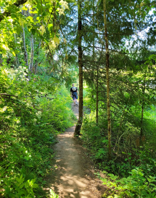 A person walking along a narrow, winding trail surrounded by lush greenery and trees.