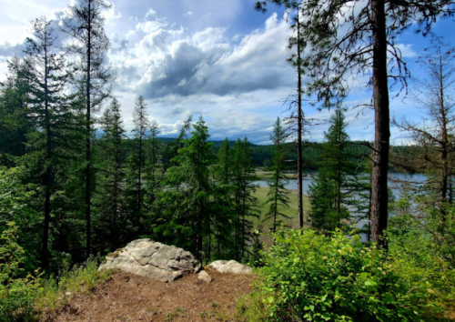 A scenic view of a forested landscape with a river and mountains under a partly cloudy sky.
