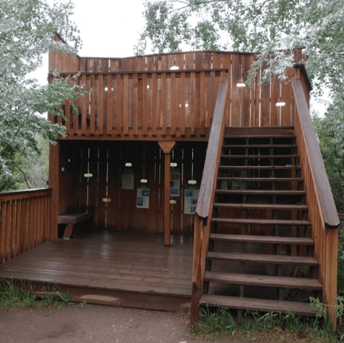 A wooden observation deck with stairs, surrounded by greenery, in a natural setting.