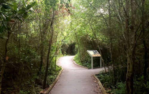 A winding wooden path through a lush, green forest with a signpost along the way.