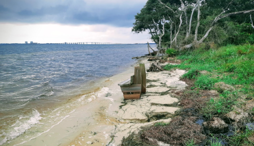 A weathered bench sits on a sandy shore beside a calm waterway, with trees and a distant bridge in the background.