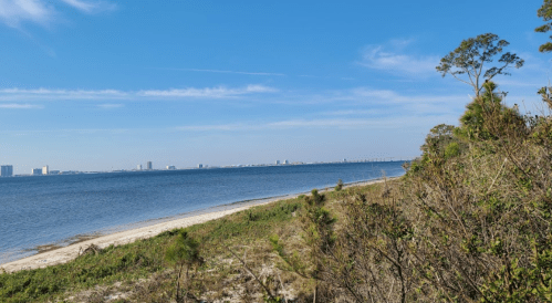 A serene coastal view with a sandy beach, calm water, and distant city skyline under a clear blue sky.
