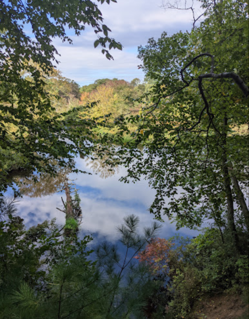 A serene view of a calm lake surrounded by lush green trees and a blue sky with scattered clouds.