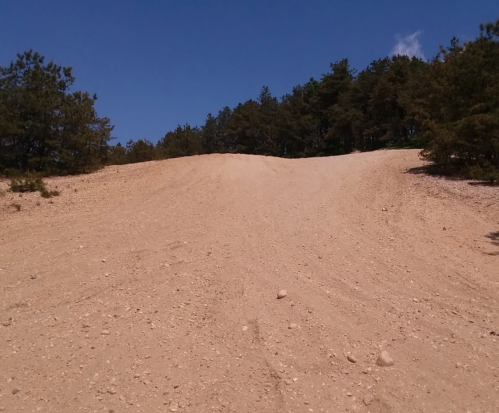 A sandy slope leading up to a forested area under a clear blue sky.