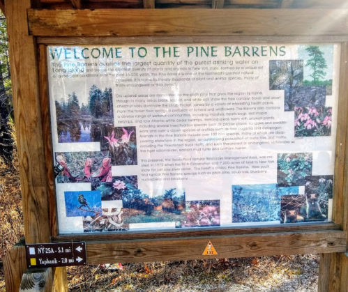 Signboard titled "Welcome to the Pine Barrens," detailing the area's ecology, wildlife, and conservation efforts.
