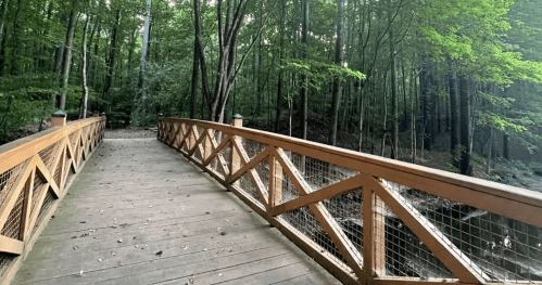 A wooden bridge crosses a serene forested area, surrounded by lush green trees and a calm stream below.