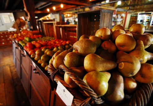 A basket of pears in a rustic market, with shelves of colorful tomatoes in the background. Warm, inviting atmosphere.