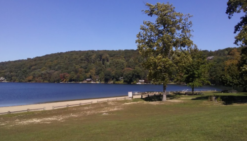 A serene lake surrounded by trees and a grassy shore under a clear blue sky.