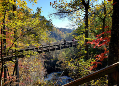 A wooden bridge spans a colorful autumn landscape with vibrant trees and a river below.