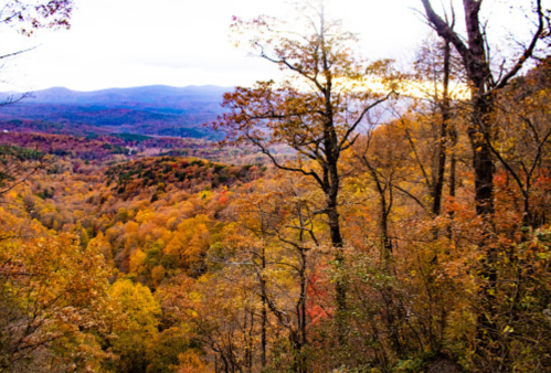 A scenic view of a colorful autumn landscape with trees and rolling hills under a cloudy sky.