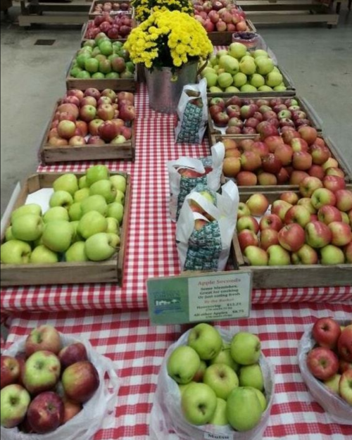 A vibrant display of various apples and yellow flowers on a checkered tablecloth at a market.