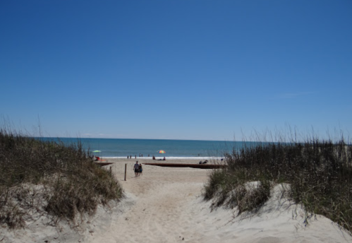 A sandy path leads to a sunny beach with gentle waves and a clear blue sky, framed by tall grass.