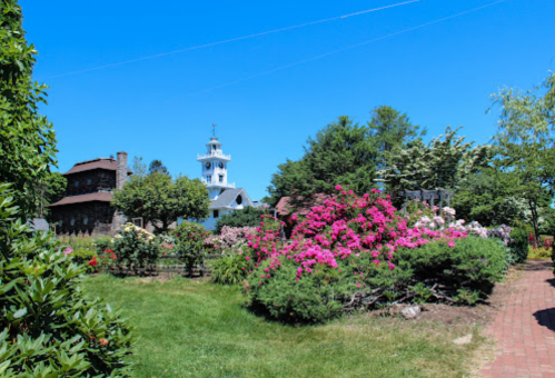 A vibrant garden with colorful flowers, green trees, and a white church steeple under a clear blue sky.