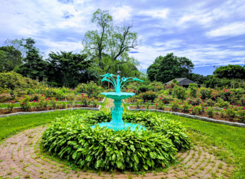 A turquoise fountain surrounded by lush greenery and blooming roses under a cloudy sky.