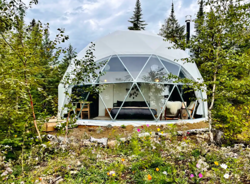 A modern geodesic dome home surrounded by trees and wildflowers, featuring large windows and a cozy interior.